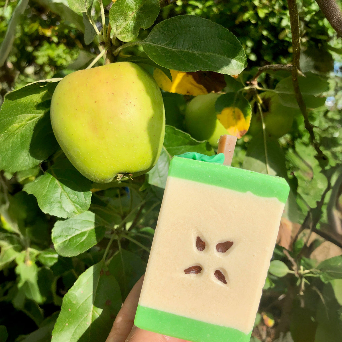 Savon pour la douche et les mains Pomme Edition limitée II