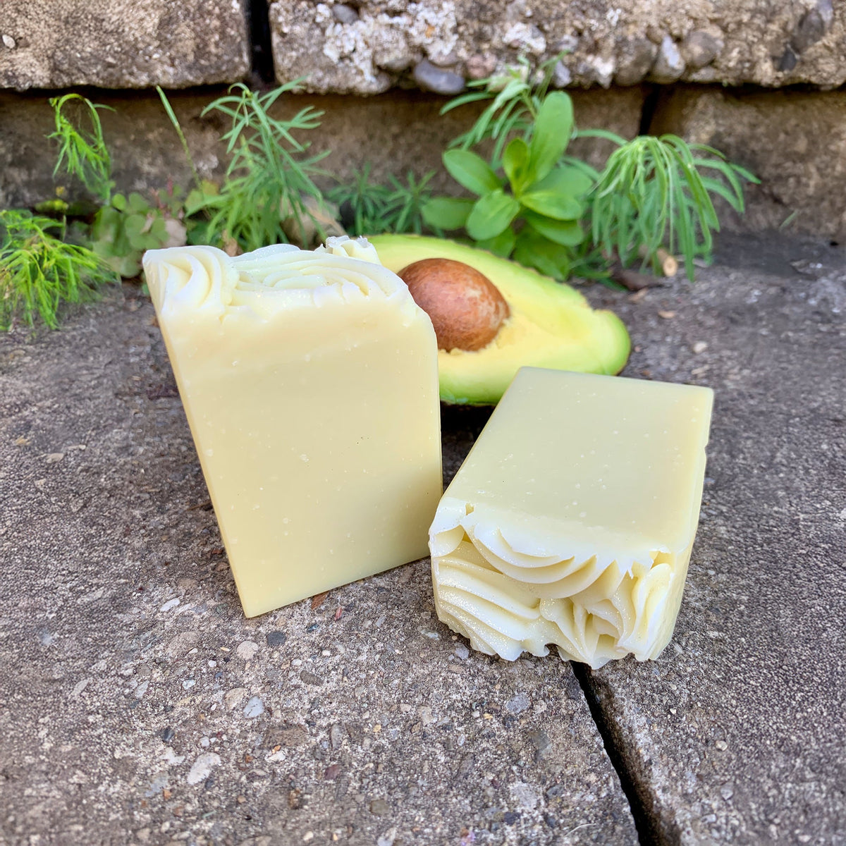 Savon pour les cheveux Avocado