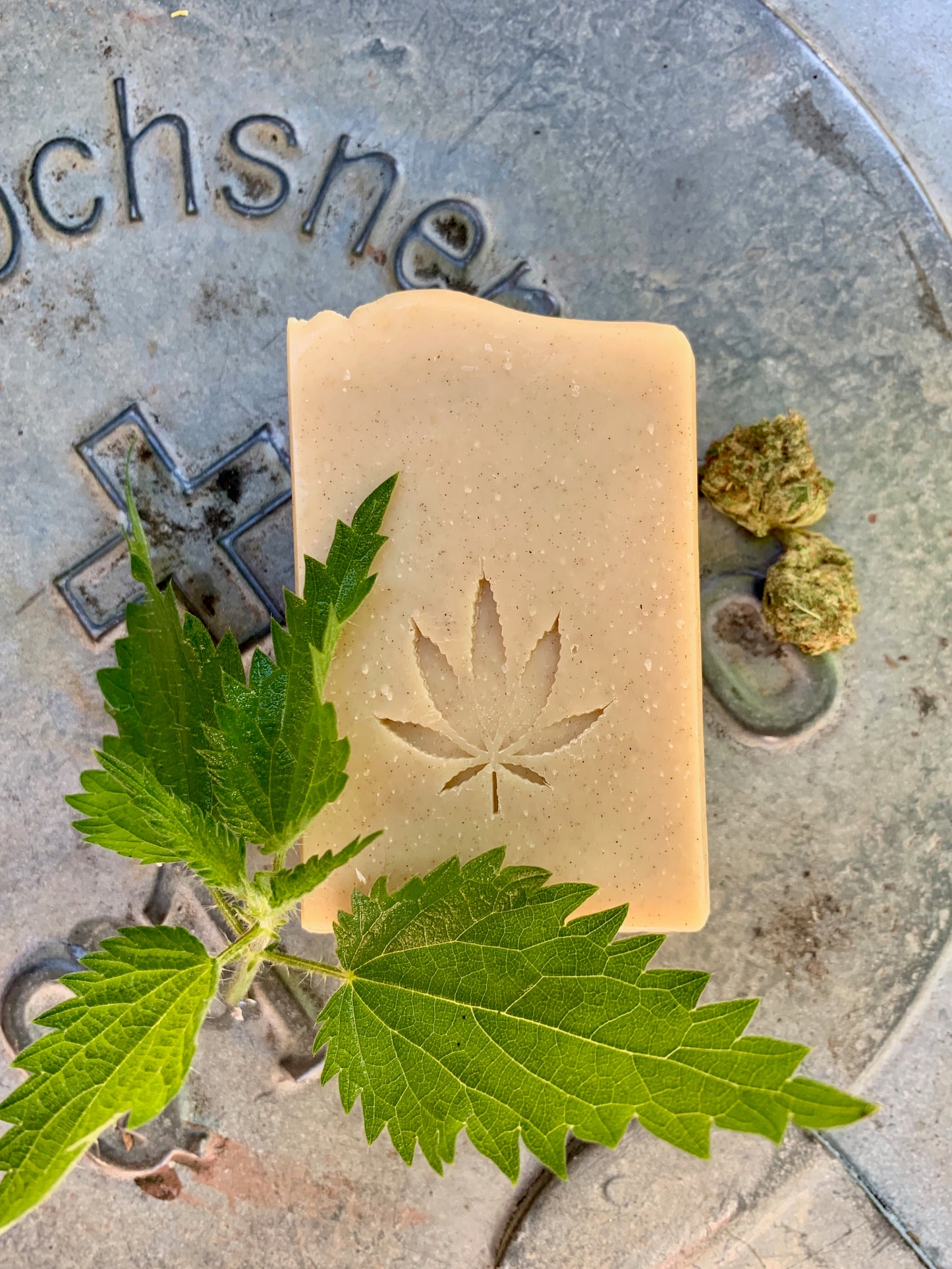 Hair soap hemp & nettle, vegan