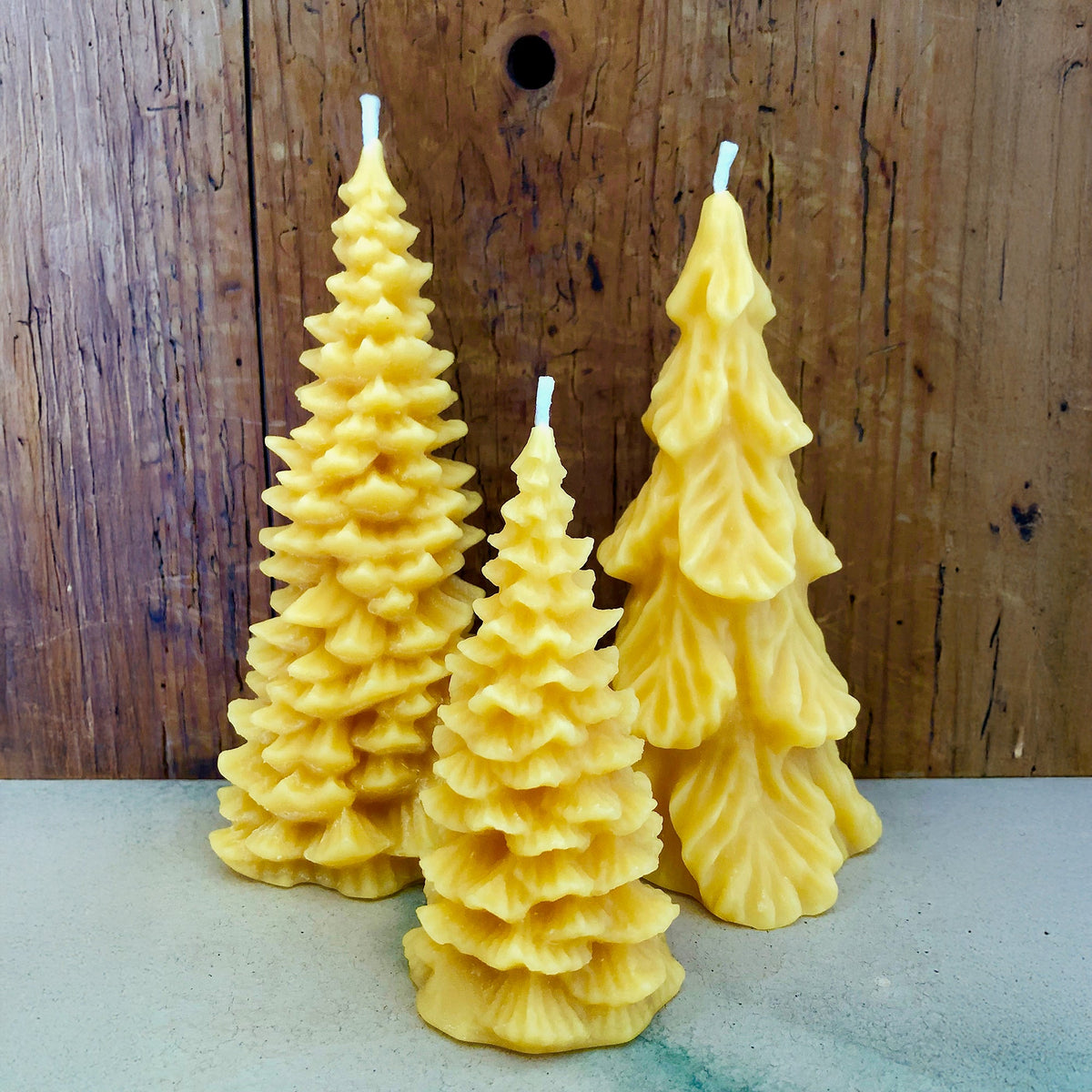 Bougie sapin, cire d&#39;abeille
