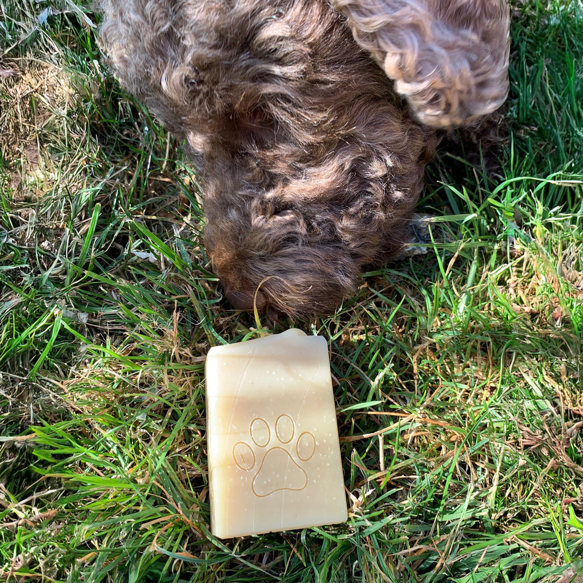 Savon en peau d&#39;animal, nature pure