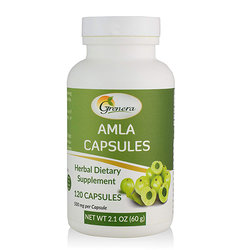 Capsules Amla ✓ BIO ✓ Bombe de vitamine C ✓ Acheter en ligne ✓ mychem.ch Suisse